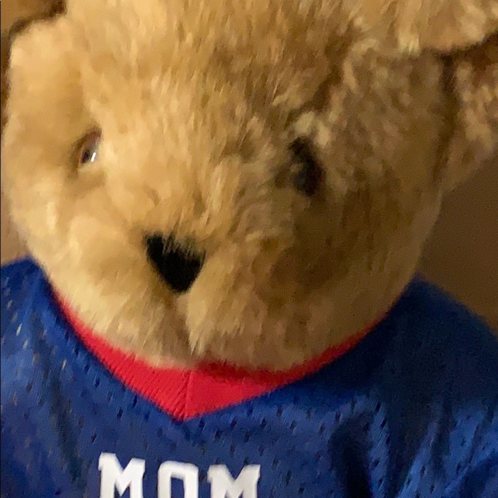 Vermont Bear